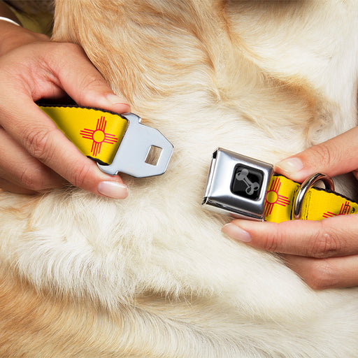 Dog Bone Black/Silver Seatbelt Buckle Collar - New Mexico Flag Yellow/Red Seatbelt Buckle Collars Buckle-Down   