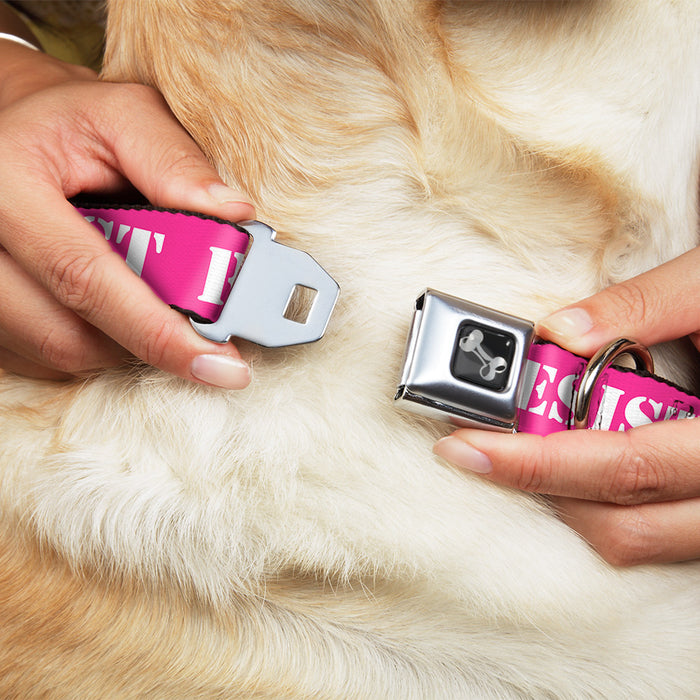 Dog Bone Seatbelt Buckle Collar - RESIST Stencil Pink/White Seatbelt Buckle Collars Buckle-Down   