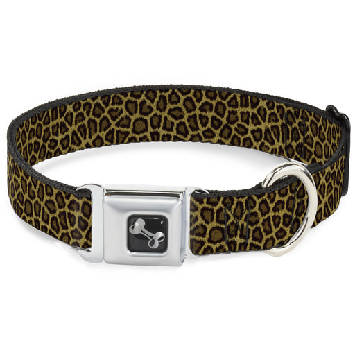 Dog Bone Seatbelt Buckle Collar - Leopard Brown Seatbelt Buckle Collars Buckle-Down   