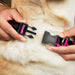 Buckle-Down Plastic Buckle Dog Collar - ONE OF US IS A BITCH Crown/Paws Black/Gray/Pink Plastic Clip Collars Buckle-Down   