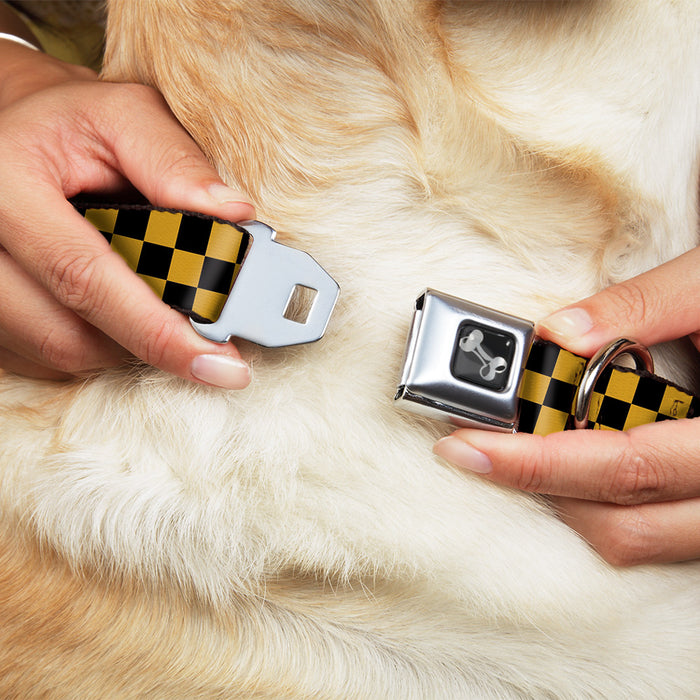 Dog Bone Seatbelt Buckle Collar - Checker Black/Gold Seatbelt Buckle Collars Buckle-Down   