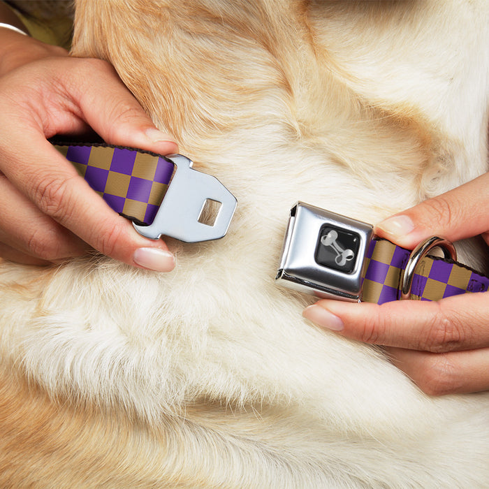 Dog Bone Seatbelt Buckle Collar - Checker Purple/Gold Seatbelt Buckle Collars Buckle-Down   