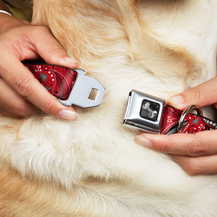 Dog Bone Seatbelt Buckle Collar - Floral Paisley3 Red/Black/Gray/White Seatbelt Buckle Collars Buckle-Down   