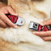 Dog Bone Seatbelt Buckle Collar - Floral Paisley3 Red/Black/Gray/White Seatbelt Buckle Collars Buckle-Down   