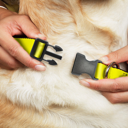 Plastic Clip Collar - Neon Yellow Plastic Clip Collars Buckle-Down   