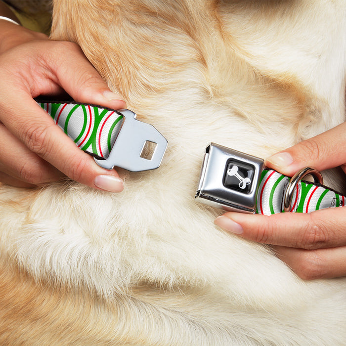 Dog Bone Seatbelt Buckle Collar - Rings White/Green/Red Seatbelt Buckle Collars Buckle-Down   