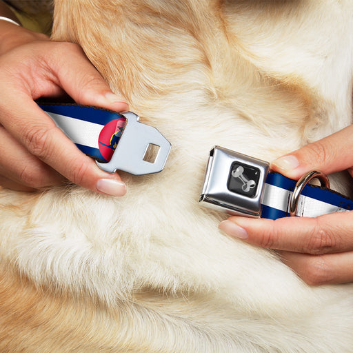 Dog Bone Seatbelt Buckle Collar - Colorado Flag/Snowboarder Blue/White/Red/Yellow Seatbelt Buckle Collars Buckle-Down   