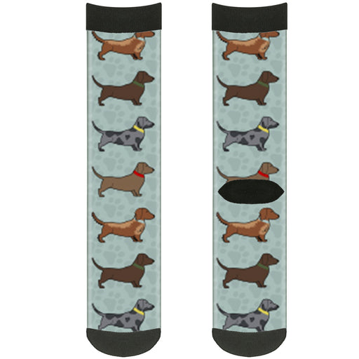 Sock Pair - Polyester - Dachshund 4-Dogs Paws Aquas - CREW Socks Buckle-Down   