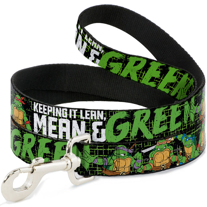 Dog Leash - Classic TMNT Group Pose6/KEEPING IT LEAN, MEAN & GREEN Black/Green/White Dog Leashes Nickelodeon   