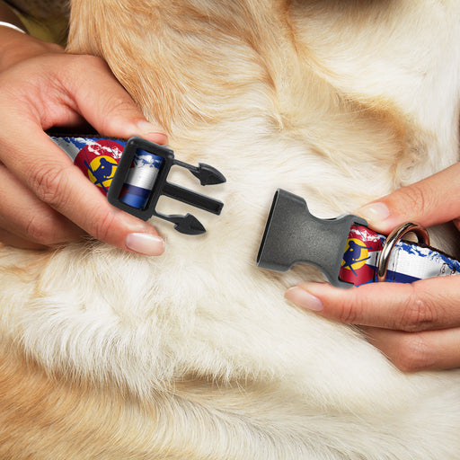 Plastic Clip Collar - Colorado Skier4/Mountains Blues/White/Red/Yellow Plastic Clip Collars Buckle-Down   