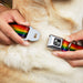 Dog Bone Seatbelt Buckle Collar - Flag Pride Distressed Rainbow Seatbelt Buckle Collars Buckle-Down   