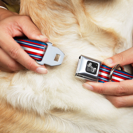 Dog Bone Seatbelt Buckle Collar - Striped Blue/Red/White Seatbelt Buckle Collars Buckle-Down   