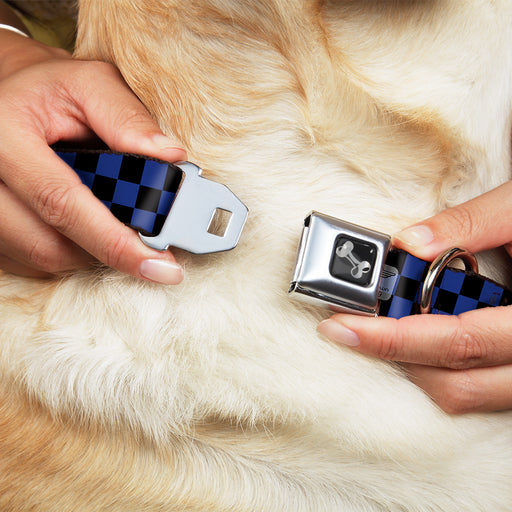 Dog Bone Seatbelt Buckle Collar - Checker Black/Royal 288C Seatbelt Buckle Collars Buckle-Down   