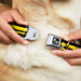 Dog Bone Seatbelt Buckle Collar - Racing Stripe2 Weathered Black/Yellow Seatbelt Buckle Collars Buckle-Down   