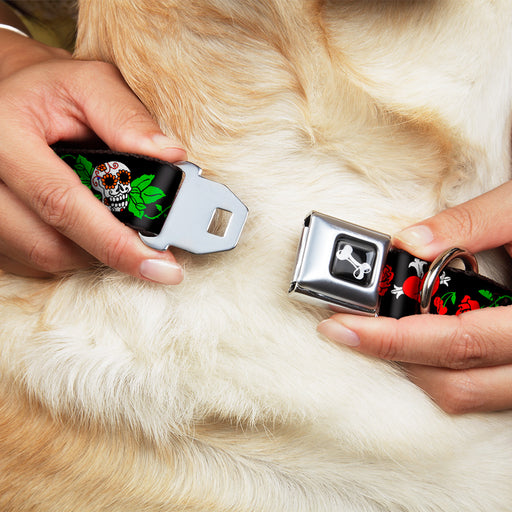 Dog Bone Seatbelt Buckle Collar - Sugar Skull w/Roses & Heart Seatbelt Buckle Collars Buckle-Down   