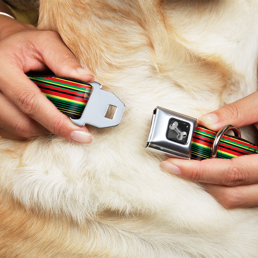 Dog Bone Seatbelt Buckle Collar - Stripe Transitions Black/Red/Green/Yellow Seatbelt Buckle Collars Buckle-Down   