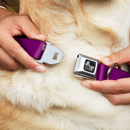 Dog Bone Seatbelt Buckle Collar - YOU'VE GOT TO BE KIDDING ME! Purple/White Seatbelt Buckle Collars Buckle-Down   