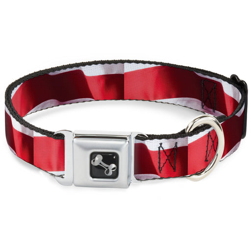 Dog Bone Seatbelt Buckle Collar - American Flag Vivid Stripes CLOSE-UP Red/White Seatbelt Buckle Collars Buckle-Down   