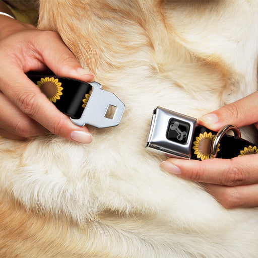 Dog Bone Black/Silver Seatbelt Buckle Collar - Sunflower Face Repeat Black Seatbelt Buckle Collars Buckle-Down   