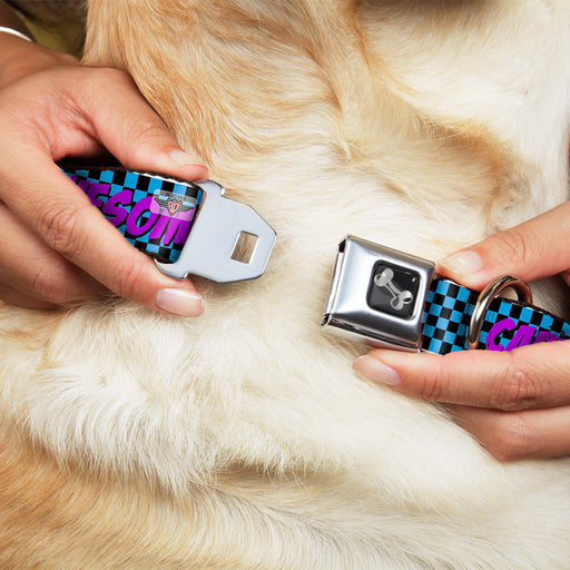 Dog Bone Seatbelt Buckle Collar - CAPTAIN AWESOME Turquoise Checker/Fuchsia Seatbelt Buckle Collars Buckle-Down   