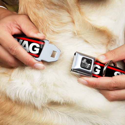 Dog Bone Seatbelt Buckle Collar - SWAGG Black/White/Red Stripe Seatbelt Buckle Collars Buckle-Down   