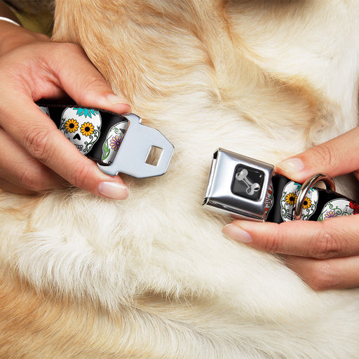 Dog Bone Seatbelt Buckle Collar - Staggered Sugar Skulls CLOSE-UP Black/Multi Color Seatbelt Buckle Collars Buckle-Down   