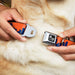 Dog Bone Seatbelt Buckle Collar - Denver Solid Skyline Orange/Navy Seatbelt Buckle Collars Buckle-Down   