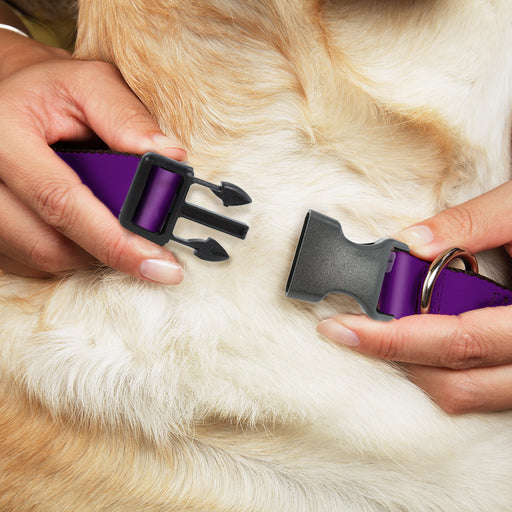 Plastic Clip Collar - Purple Plastic Clip Collars Buckle-Down   