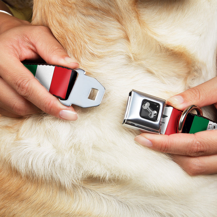 Dog Bone Seatbelt Buckle Collar - Italy Flags Seatbelt Buckle Collars Buckle-Down   