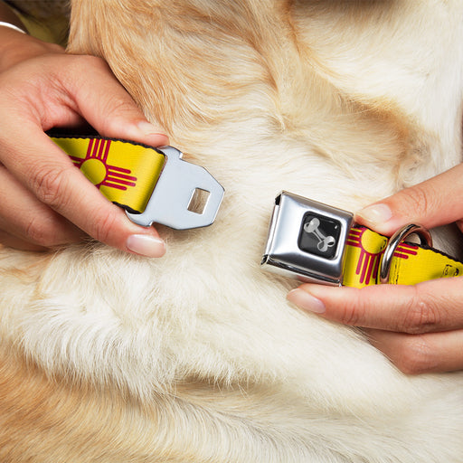 Dog Bone Seatbelt Buckle Collar - New Mexico Flag/Black Seatbelt Buckle Collars Buckle-Down   