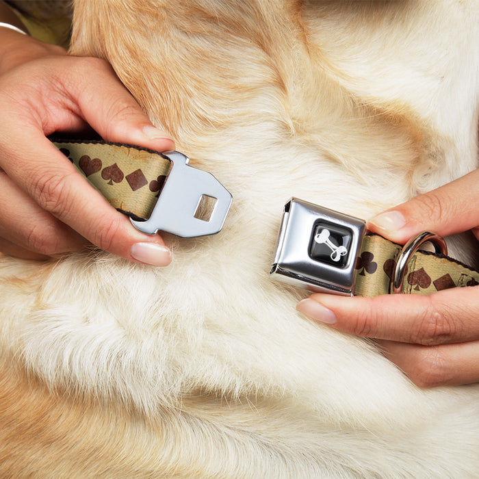 Dog Bone Seatbelt Buckle Collar - Suits Tan Stone Seatbelt Buckle Collars Buckle-Down   