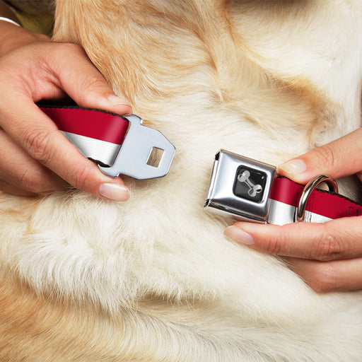 Dog Bone Seatbelt Buckle Collar - North Carolina Flag Stripe Red/White Seatbelt Buckle Collars Buckle-Down   