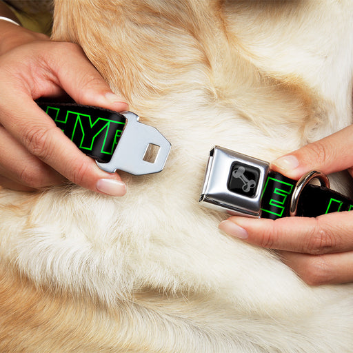 Dog Bone Black/Silver Seatbelt Buckle Collar - HYPE Outline Black/Neon Green Seatbelt Buckle Collars Buckle-Down   