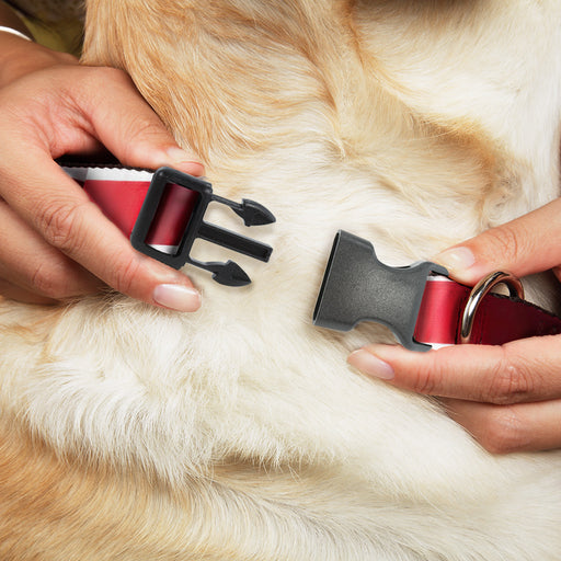 Plastic Clip Collar - American Flag Vivid Stripes CLOSE-UP Red/White Plastic Clip Collars Buckle-Down   