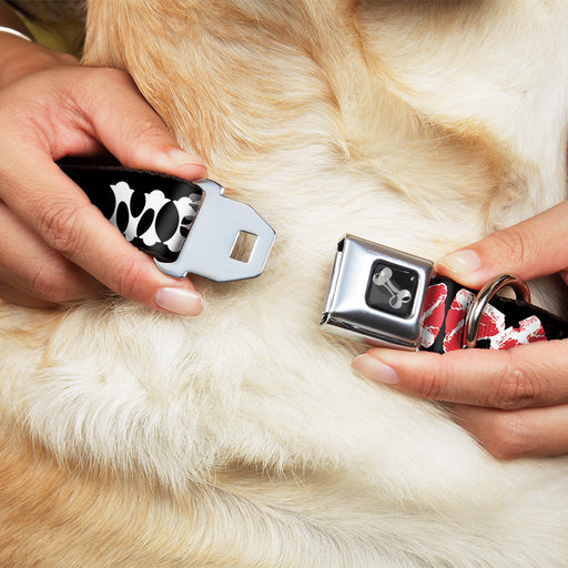 Dog Bone Seatbelt Buckle Collar - Steaks w/MEAT Text Seatbelt Buckle Collars Buckle-Down   