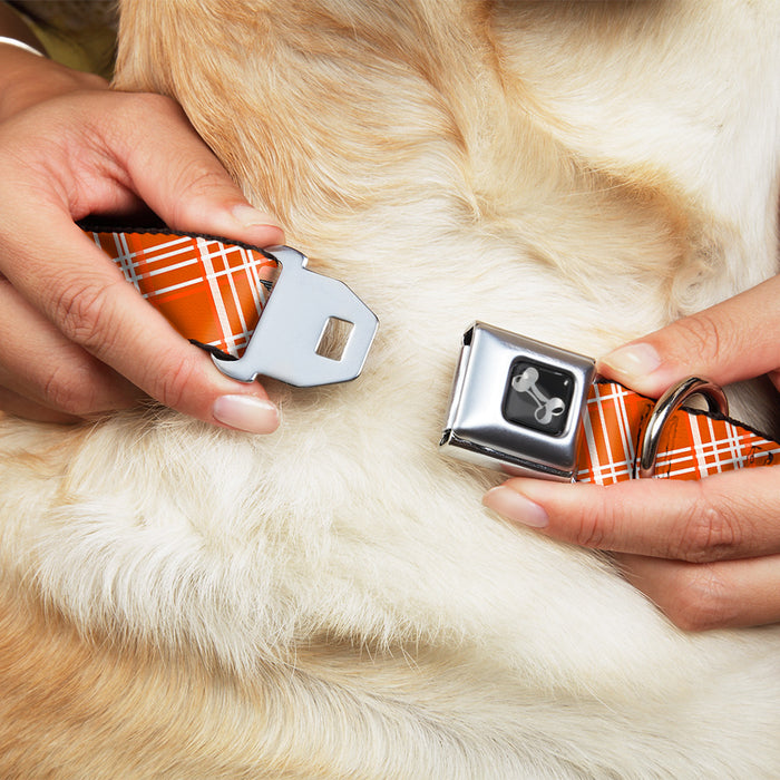 Dog Bone Seatbelt Buckle Collar - Plaid X4 Oranges/White Seatbelt Buckle Collars Buckle-Down   
