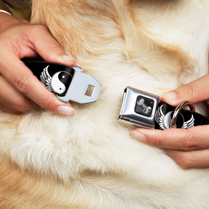 Dog Bone Seatbelt Buckle Collar - Yin Yang w/Wings Black/White Seatbelt Buckle Collars Buckle-Down   