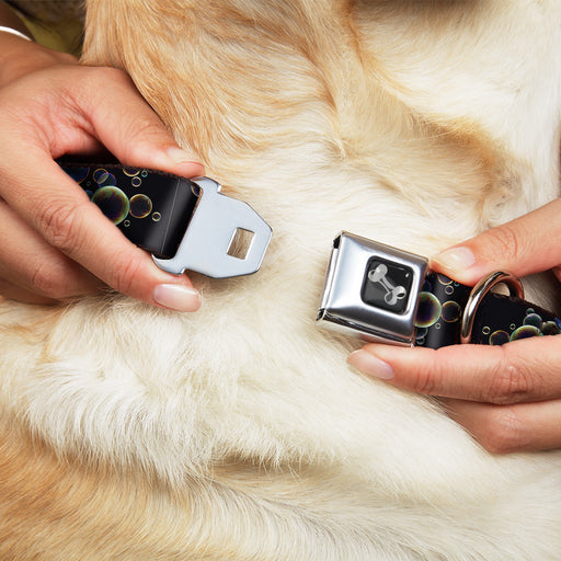 Dog Bone Seatbelt Buckle Collar - Bubbles Black/Iridescent Multi Color Seatbelt Buckle Collars Buckle-Down   