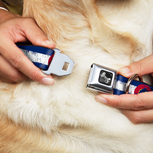 Dog Bone Seatbelt Buckle Collar - Colorado Flag/Snowboarder Weathered Seatbelt Buckle Collars Buckle-Down   