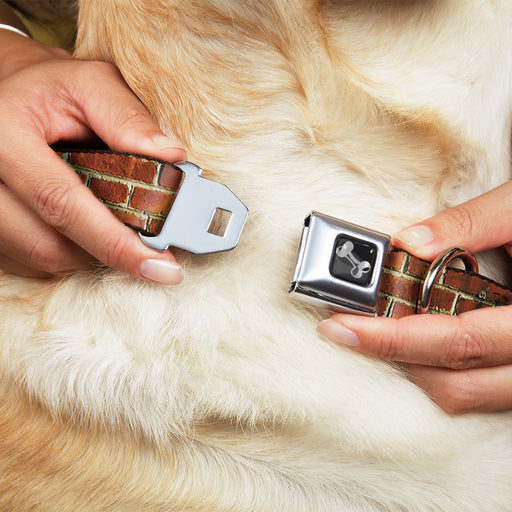 Dog Bone Black/Silver Seatbelt Buckle Collar - Brick Wall Seatbelt Buckle Collars Buckle-Down   