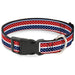 Plastic Clip Collar - Americana Stripe w/Mini Stars Blue/Red/White Plastic Clip Collars Buckle-Down   