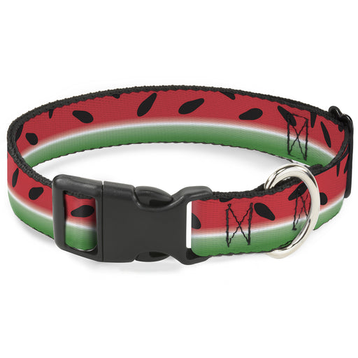 Plastic Clip Collar - Watermelon Stripe Red/Green/Black Plastic Clip Collars Buckle-Down   