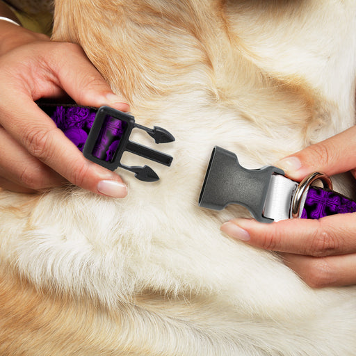 Plastic Clip Collar - BD Skulls w/Wings Black/Purple Plastic Clip Collars Buckle-Down   