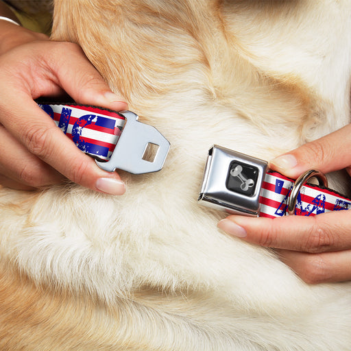 Dog Bone Seatbelt Buckle Collar - 'MERICA Stripes/Stars Red/White/Blue Seatbelt Buckle Collars Buckle-Down   