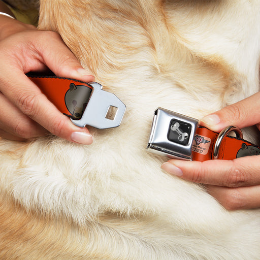 Dog Bone Seatbelt Buckle Collar - Brown Bear Repeat Orange Seatbelt Buckle Collars Buckle-Down   