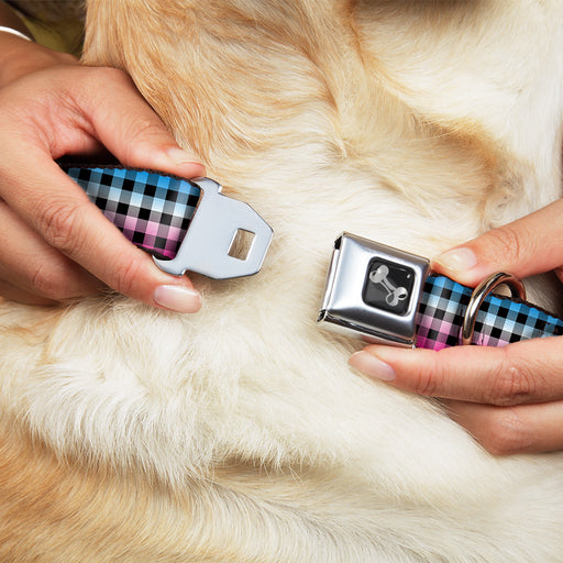 Dog Bone Seatbelt Buckle Collar - Buffalo Plaid Turquoise/Fuchsia Fade Seatbelt Buckle Collars Buckle-Down   