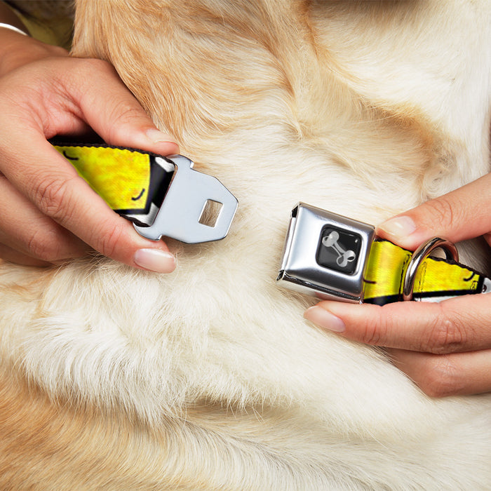 Dog Bone Seatbelt Buckle Collar - Taco/Chevron Black/White Seatbelt Buckle Collars Buckle-Down   