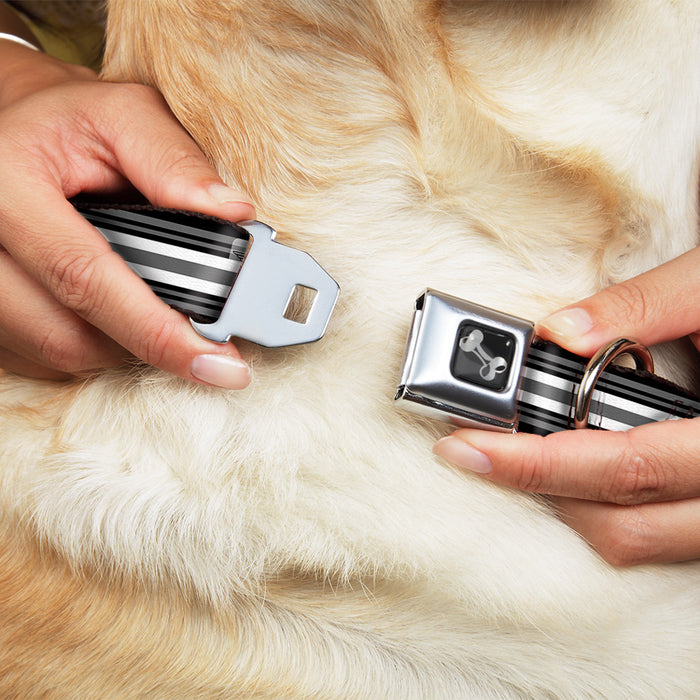 Dog Bone Seatbelt Buckle Collar - Striped Black/Gray/White Seatbelt Buckle Collars Buckle-Down   
