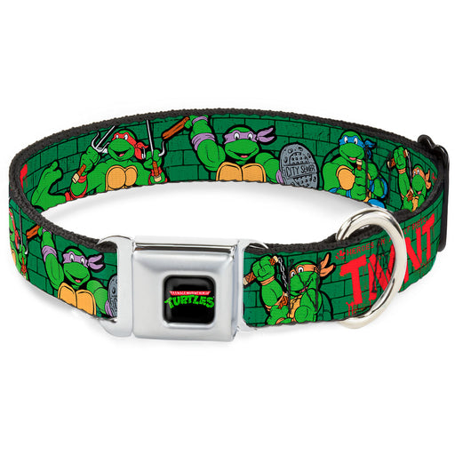 Classic TEENAGE MUTANT NINJA TURTLES Logo Seatbelt Buckle Collar - Classic Teenage Mutant Ninja Turtles Group Pose2/TMNT Green Brick Wall Seatbelt Buckle Collars Nickelodeon   