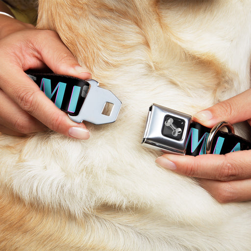 Dog Bone Seatbelt Buckle Collar - MIAMI/Palm Trees Black/White/Pink//Teal Seatbelt Buckle Collars Buckle-Down   